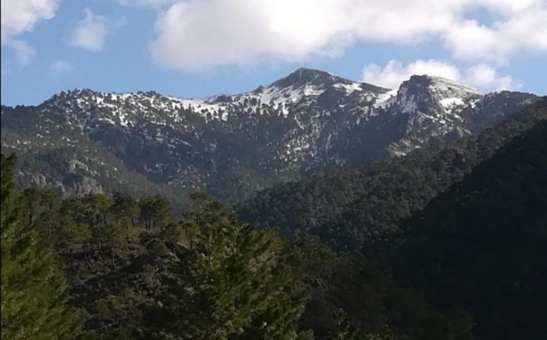 Casa Rural La Piedra Del Cambron Villaverde De Guadalimar Eksteriør billede