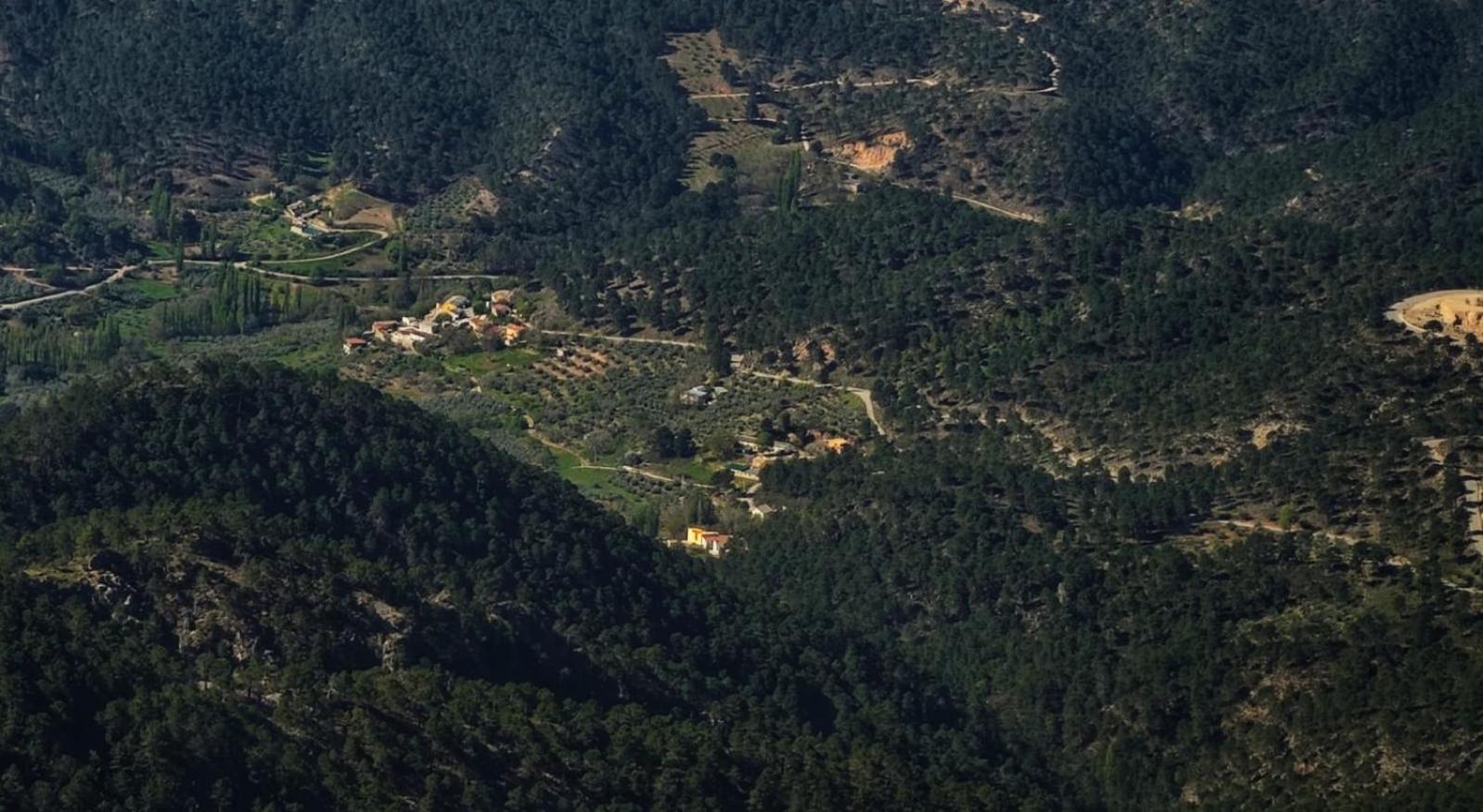 Casa Rural La Piedra Del Cambron Villaverde De Guadalimar Eksteriør billede