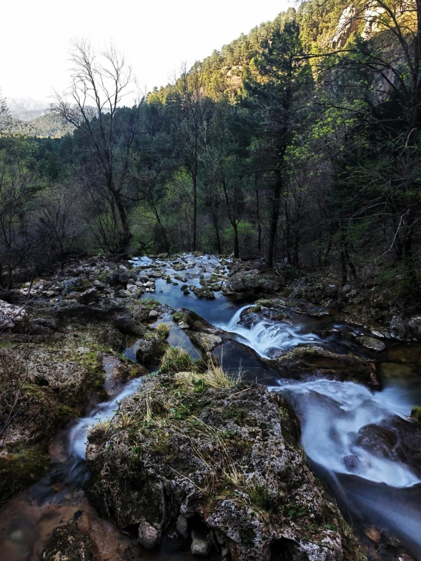 Casa Rural La Piedra Del Cambron Villaverde De Guadalimar Eksteriør billede